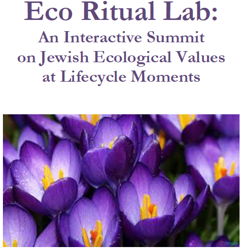 Eco Ritual Lab image