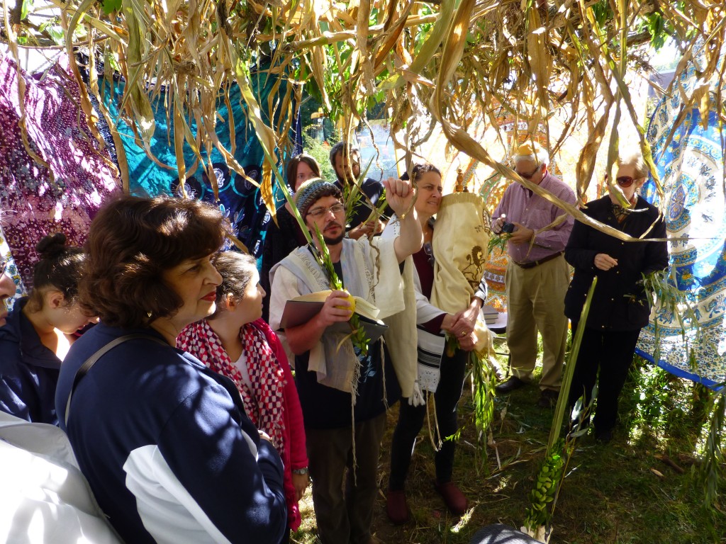 hoshana sukkah